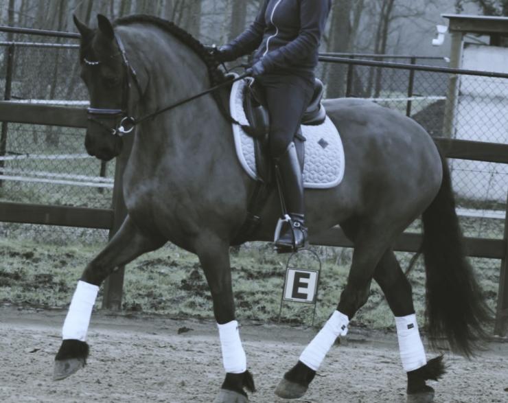 Gallery Photo of CARINA - #14