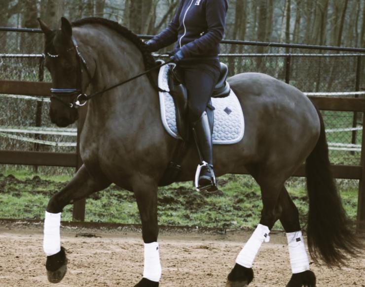 Gallery Photo of CARINA - #15