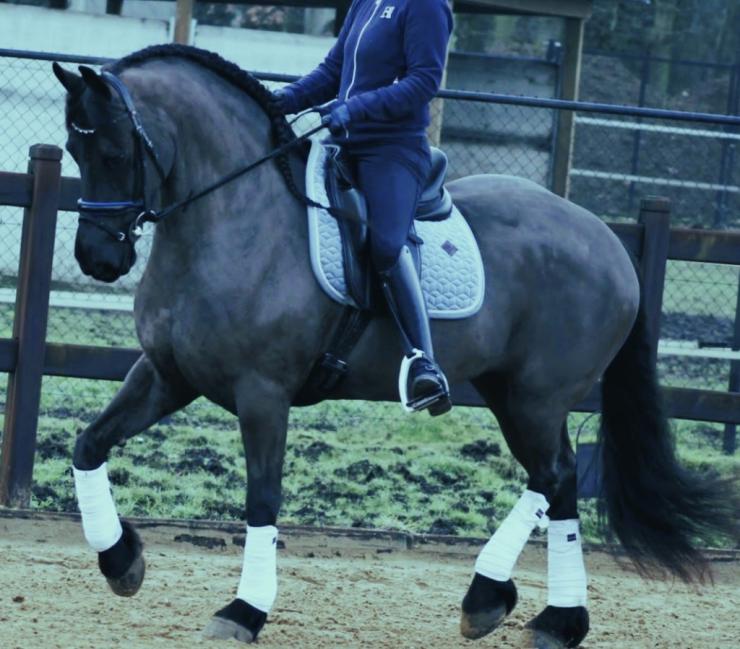 Gallery Photo of CARINA - #16