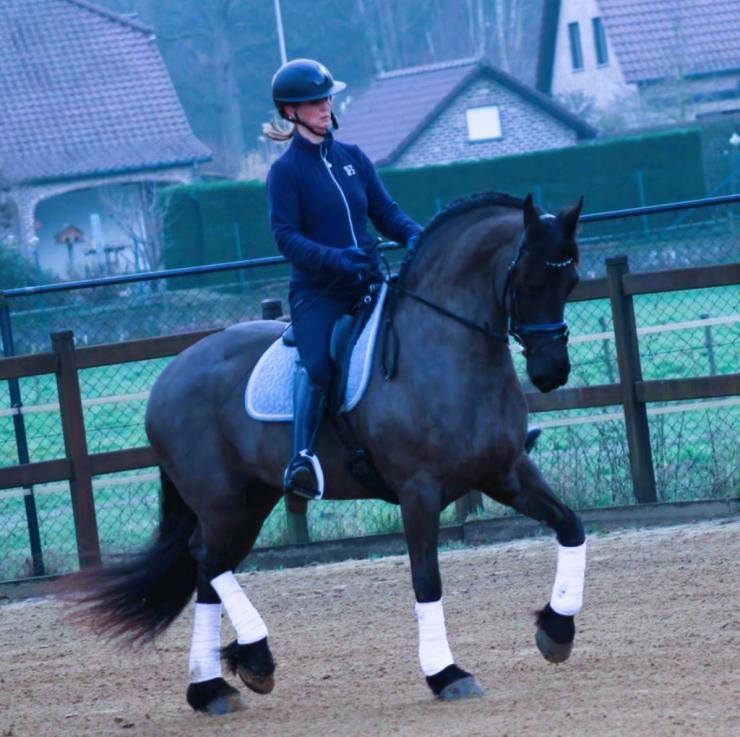 Gallery Photo of CARINA - #17