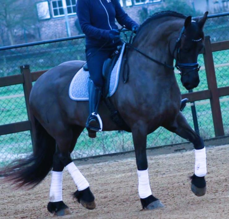 Gallery Photo of CARINA - #18