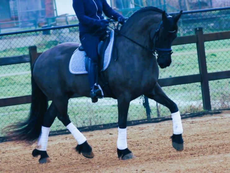 Gallery Photo of CARINA - #20