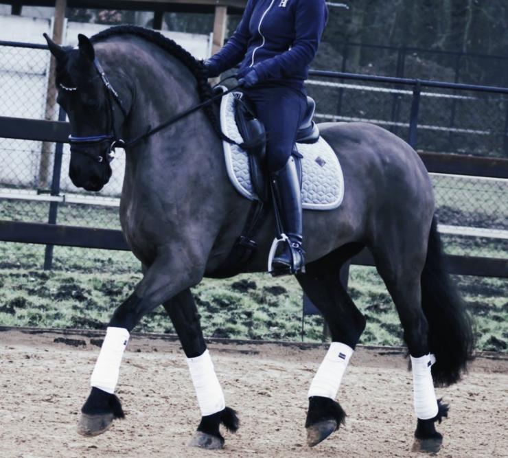 Gallery Photo of CARINA - #21