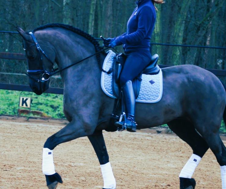 Gallery Photo of CARINA - #22