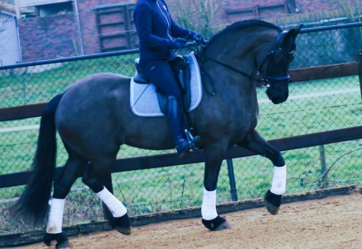 Gallery Photo of CARINA - #23