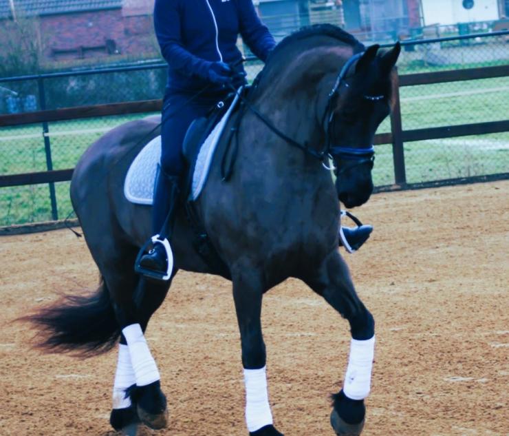 Gallery Photo of CARINA - #25