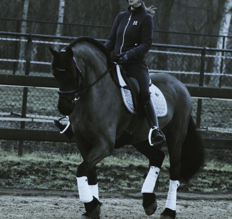 Gallery Photo of CARINA - #26