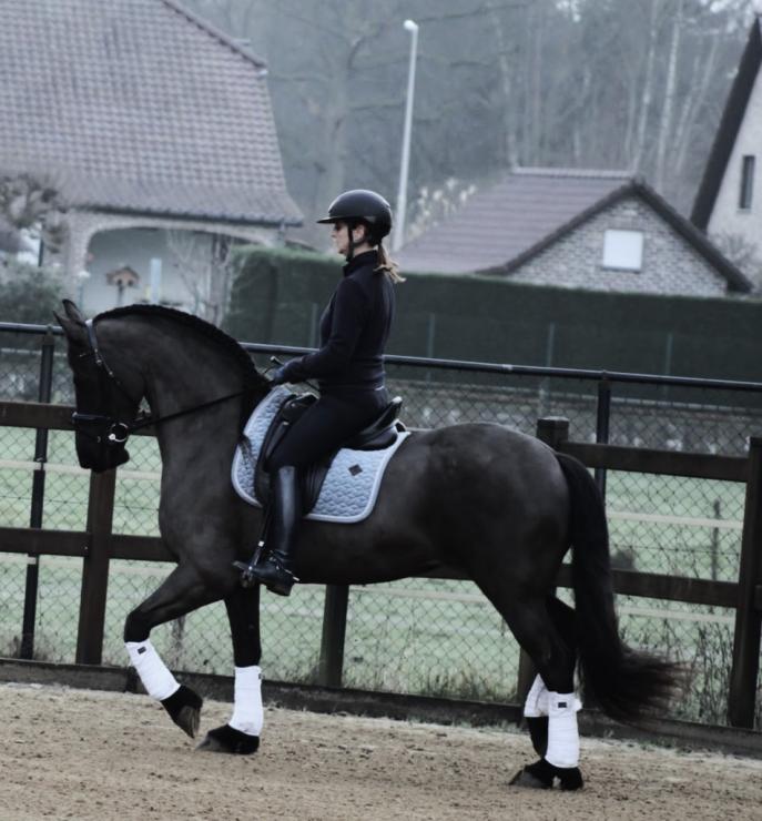 Gallery Photo of CARINA - #27
