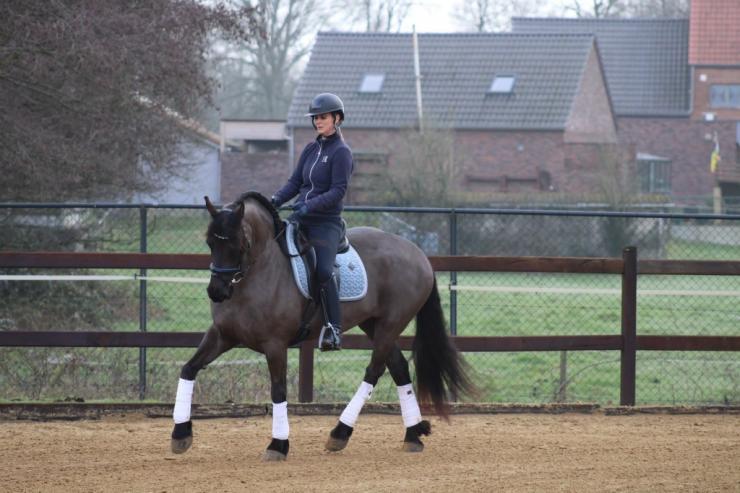 Gallery Photo of CARINA - #28