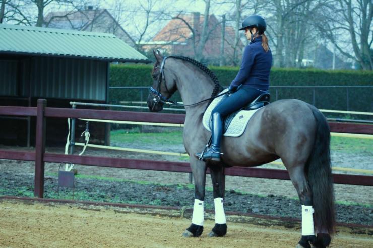 Gallery Photo of CARINA - #29