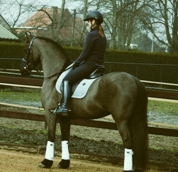 Gallery Photo of CARINA - #30