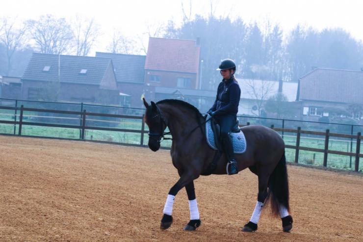 Gallery Photo of CARINA - #31