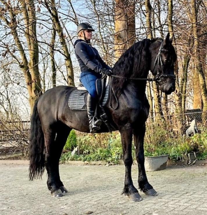 Gallery Photo of Floris van 't Hegtveld S - #13
