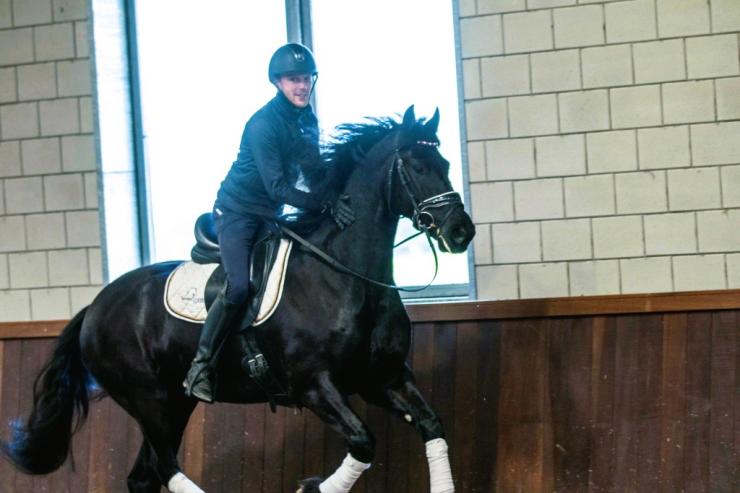 Gallery Photo of DAIRE STER - #17