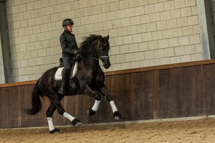 Gallery Photo of DAIRE STER - #16