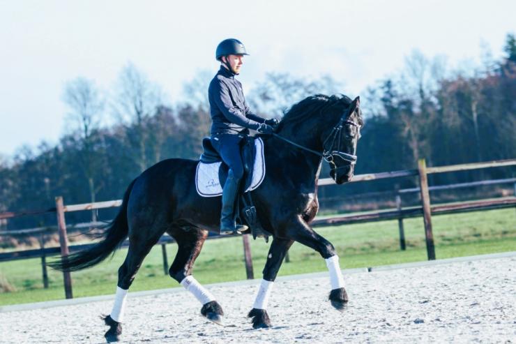 Gallery Photo of DAIRE STER - #12