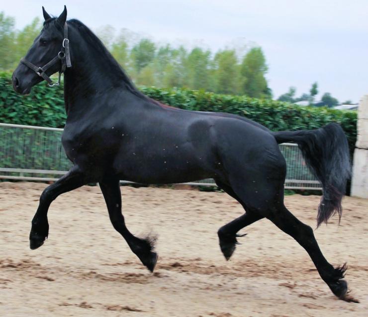 Gallery Photo of EMBER - #1