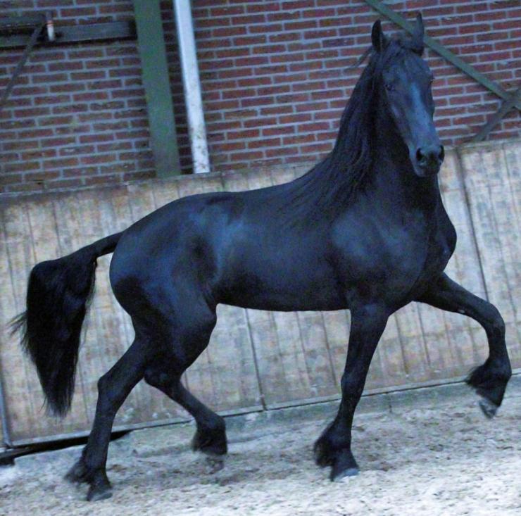 Gallery Photo of EMBER - #22