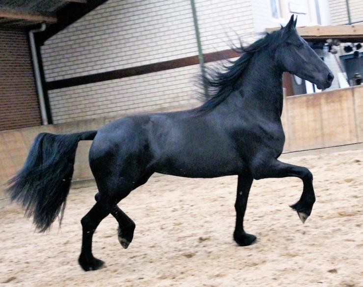 Gallery Photo of EMBER - #23
