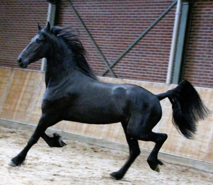 Gallery Photo of EMBER - #25