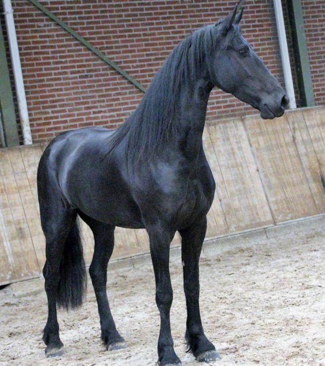 Gallery Photo of EMBER - #29