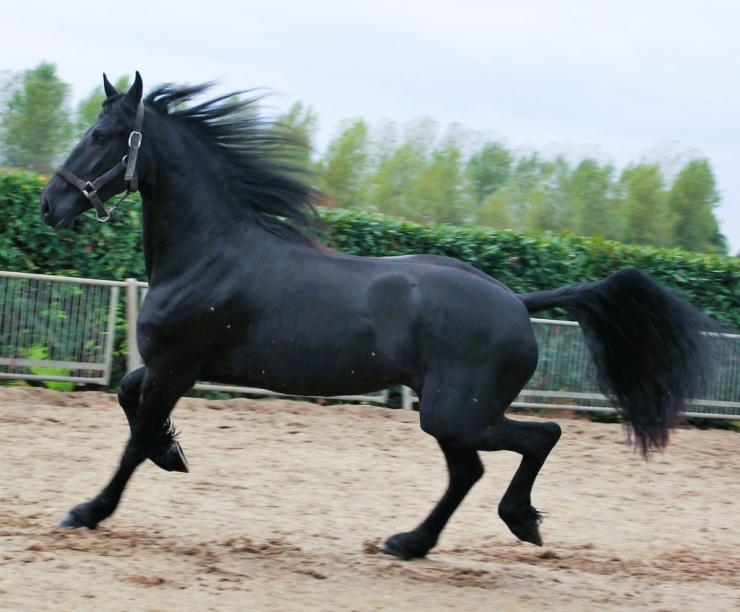 Gallery Photo of EMBER - #4