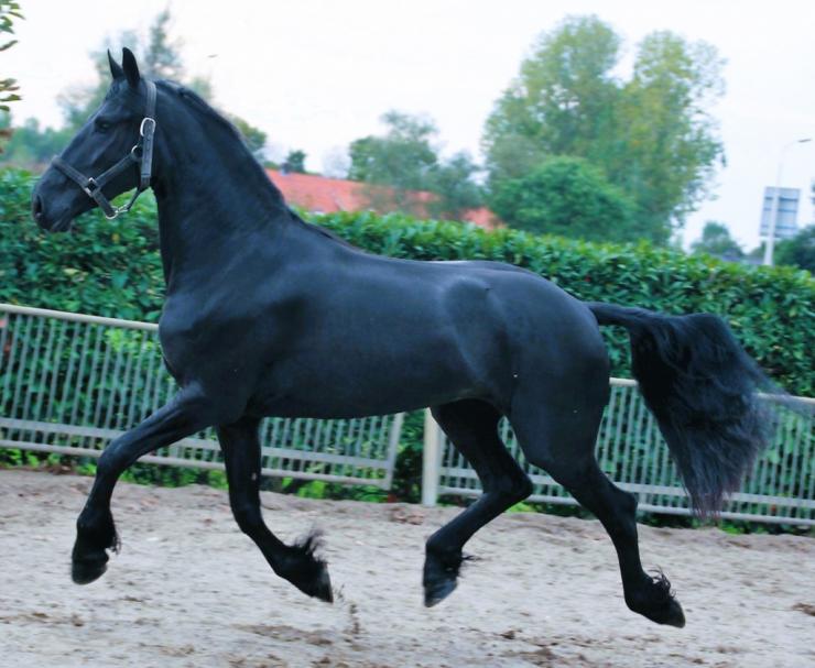 Gallery Photo of EMBER - #7