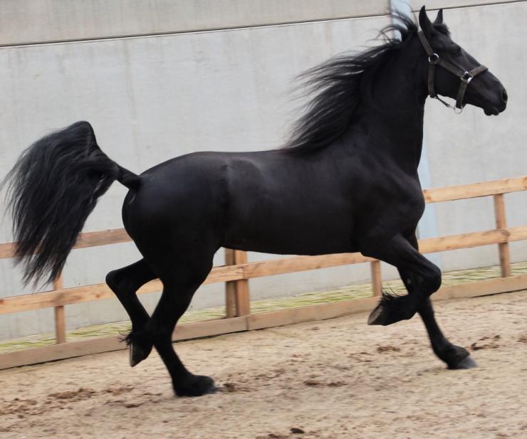 Gallery Photo of EMBER - #15