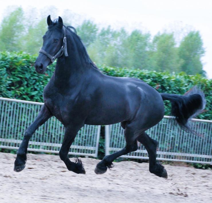 Gallery Photo of EMBER - #18