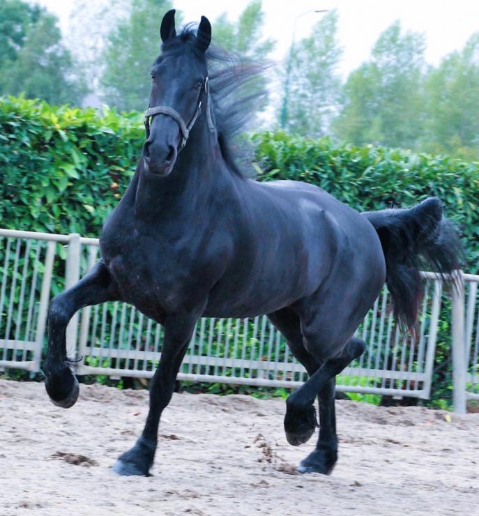 Gallery Photo of EMBER - #20