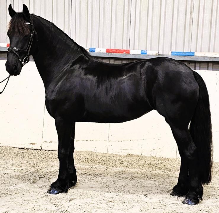 Gallery Photo of ANALISA - #14