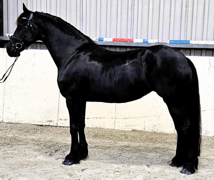 Gallery Photo of ANALISA - #16