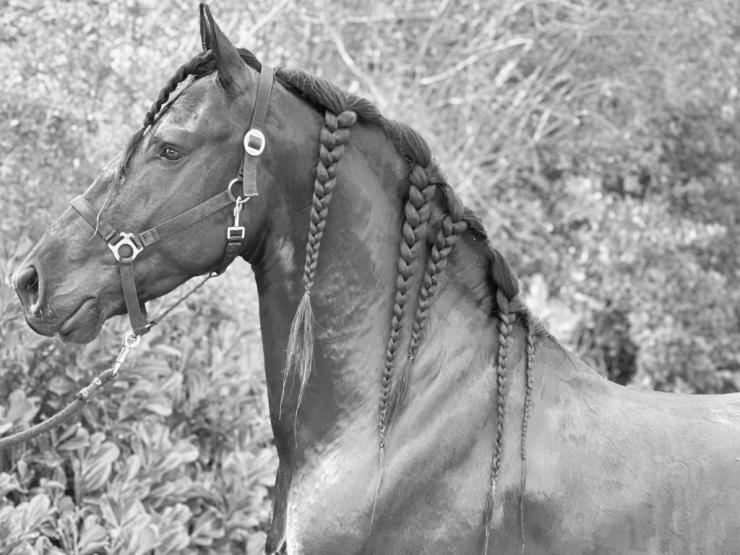 Gallery Photo of GIVENCHY - #32