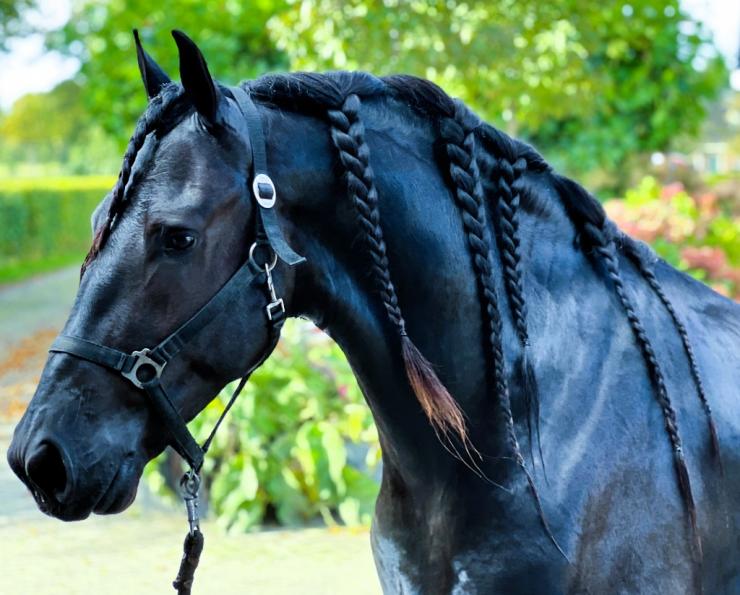 Gallery Photo of GIVENCHY - #23