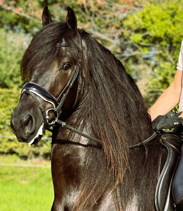 Gallery Photo of GIVENCHY - #26