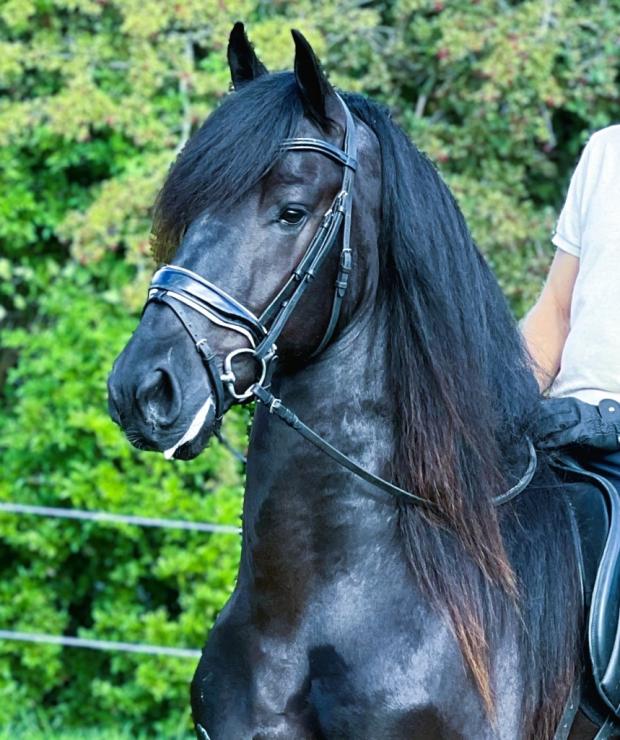 Gallery Photo of GIVENCHY - #27