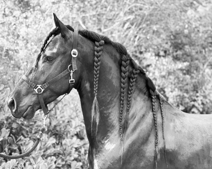 Gallery Photo of GIVENCHY - #28