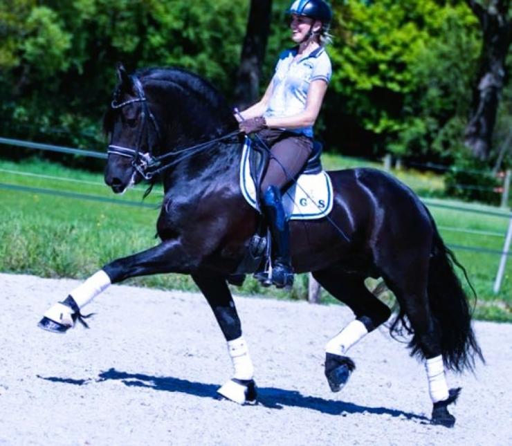 Gallery Photo of ONYX STER SPORT ELITE - #24