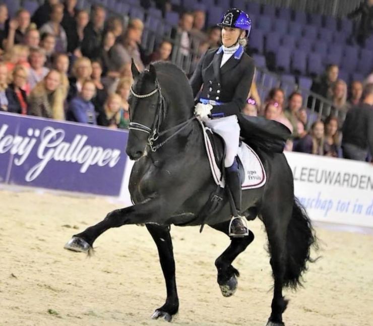 Gallery Photo of ONYX STER SPORT ELITE - #27