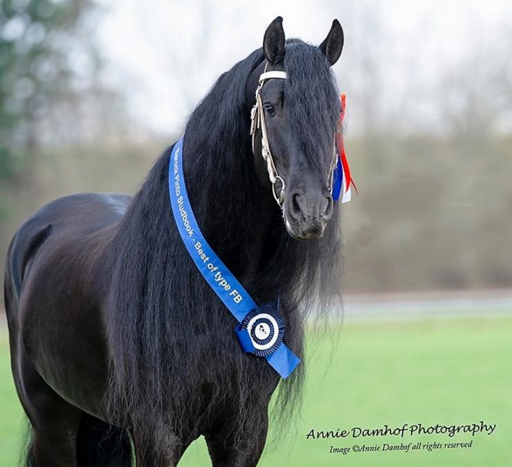 Gallery Photo of Pinot Noir STER SPORT - #5