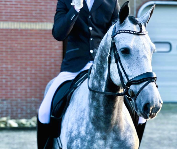 Gallery Photo of CORSAIRE - #24