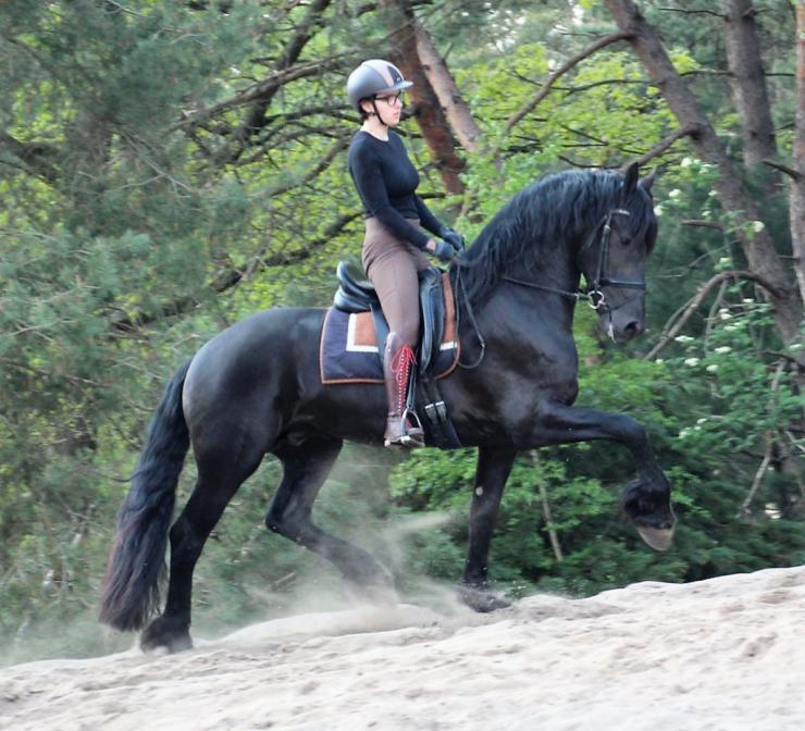 Gallery Photo of HAIKE BSF - #4