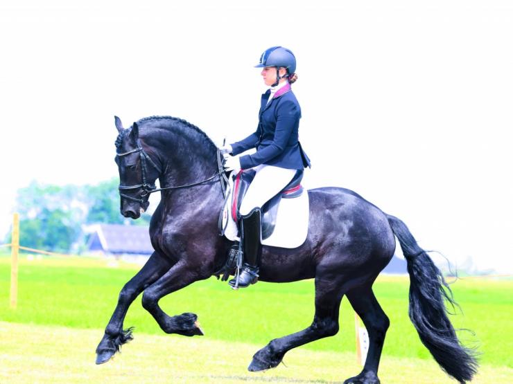 Gallery Photo of Hedzer-Auke - #4