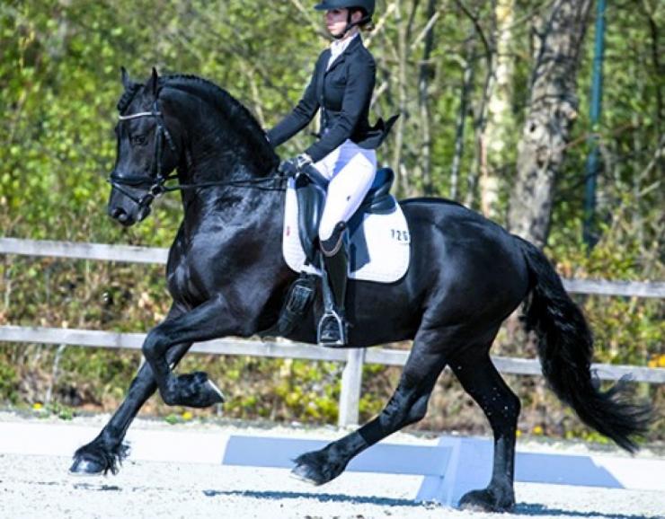 Gallery Photo of Hedzer-Auke - #20