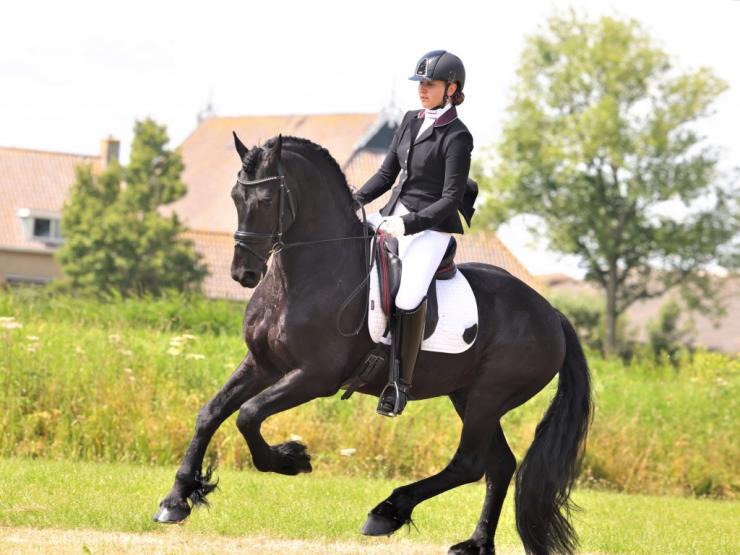 Gallery Photo of Hedzer-Auke - #5
