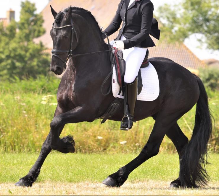 Gallery Photo of Hedzer-Auke - #6