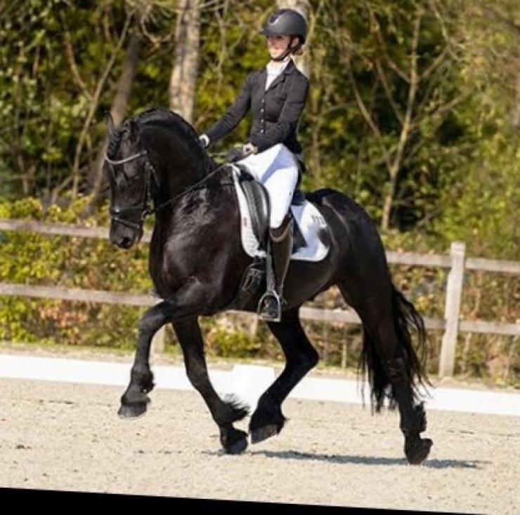 Gallery Photo of Hedzer-Auke - #29