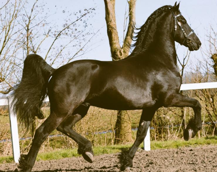 Gallery Photo of HUXLEY AA - #2