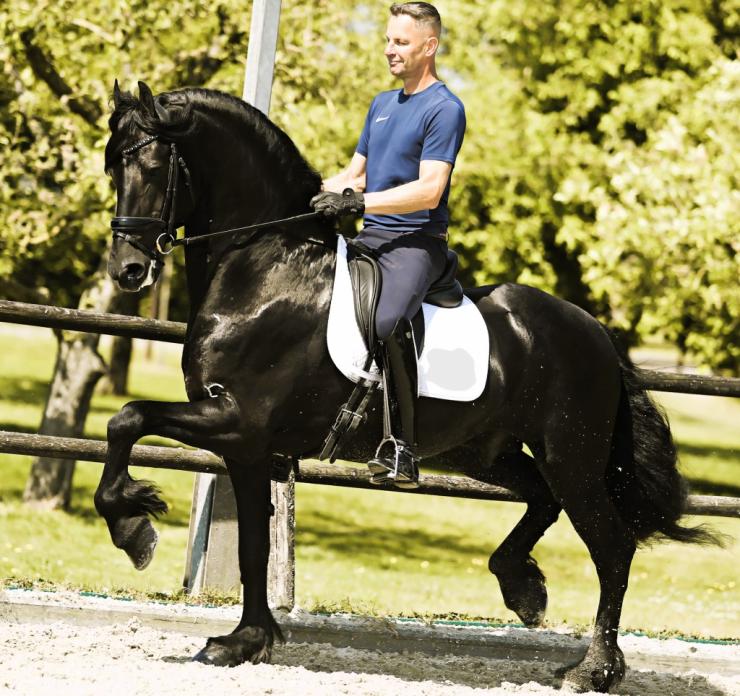 Gallery Photo of JARO SPORT - #13