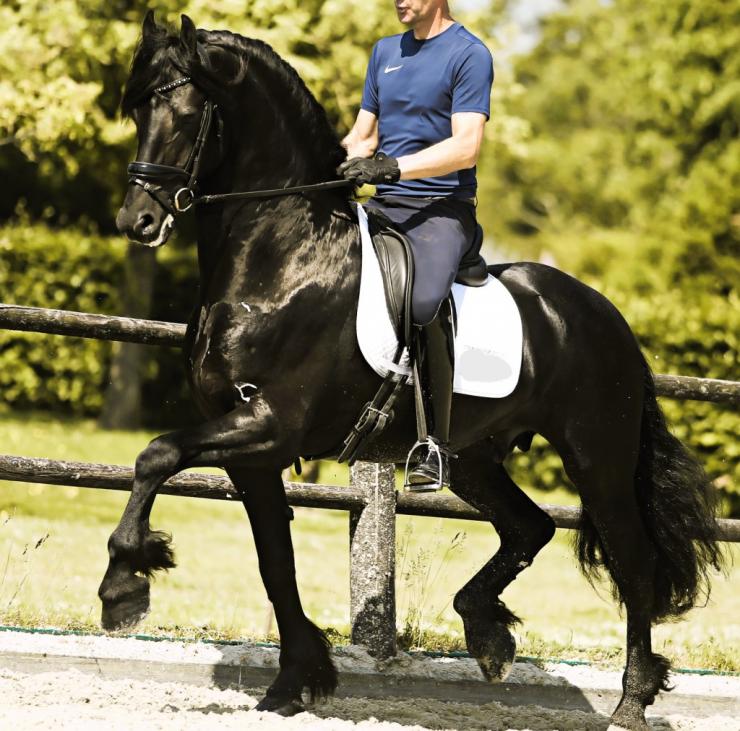 Gallery Photo of JARO SPORT - #14